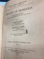 (英文)GEOLOGY OF MONGOLIA