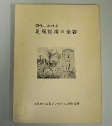 現代における足尾鉱毒の全容