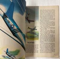 (英文)THE GOLDEN BOOK OF AIRPLANES