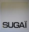 菅井汲展　新作のタブローとドローイクング　Sugai Kumi