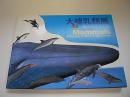 大哺乳類展 海のなかまたち　国際生物多様性年