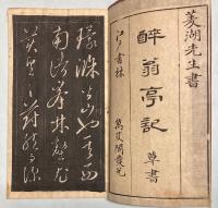 草書酔翁亭記