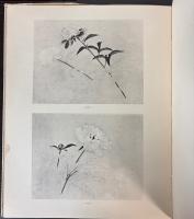 麥僊スケッチ集