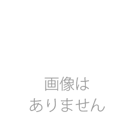 重要文化財熊野奥照神社本殿修理工事報告書